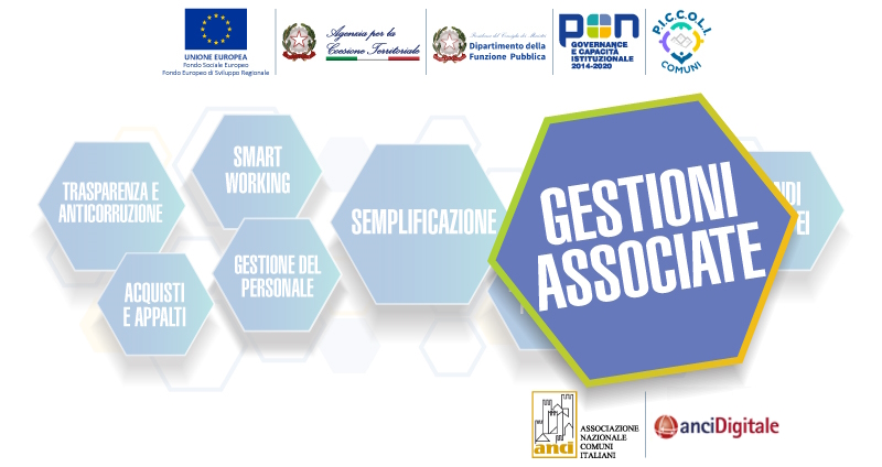 Contenuti minimi e principali opzioni per l’organizzazione delle funzioni/servizi in forma associata